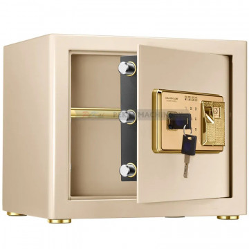 Electronic Password Safe